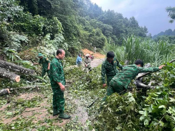 Cán bộ, chiến sĩ Đồn Biên phòng Quang Long thu dọn cây gãy đổ, giải phóng tuyến đường ra khu vực các mốc biên giới.