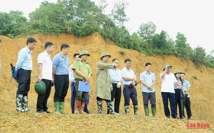 Chủ tịch UBND tỉnh Lê Hải Hòa kiểm tra thực địa tình hình triển khai Dự án Nhà máy sản xuất phôi tre ép công nghiệp và các sản phẩm từ tre.