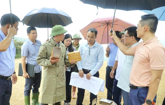 Doanh nghiệp đầu tư Nhà máy sản xuất phôi tre ép công nghiệp và các sản phẩm từ tre tại xã Bạch Đằng giới thiệu với Chủ tịch UBND tỉnh và đoàn công tác về sản phẩm mẫu gỗ ép từ vầu.