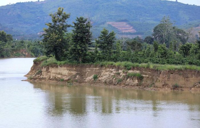 Một đoạn bờ sông Krông Nô qua xã Quảng Phú bị sạt lở