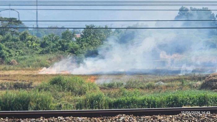 Đốt rơm rạ trực tiếp trên đồng ruộng có thể tạo ra nhiều hệ lụy đối với môi trường và đời sống cộng đồng.