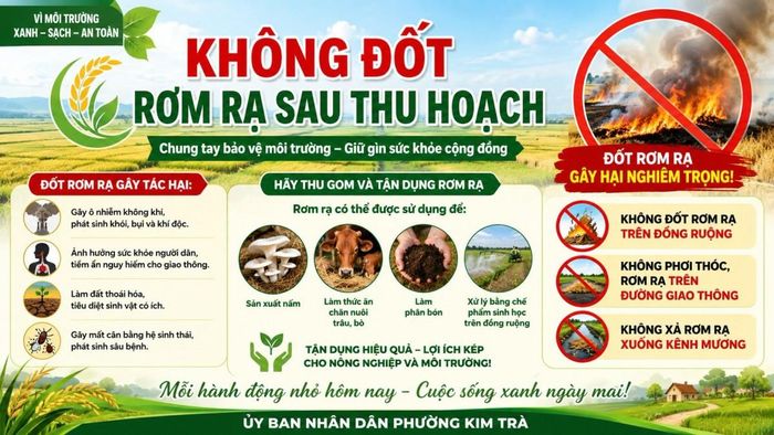 Phường Kim Trà hướng đến xử lý rơm rạ bền vững, nói không với đốt rơm sau thu hoạch