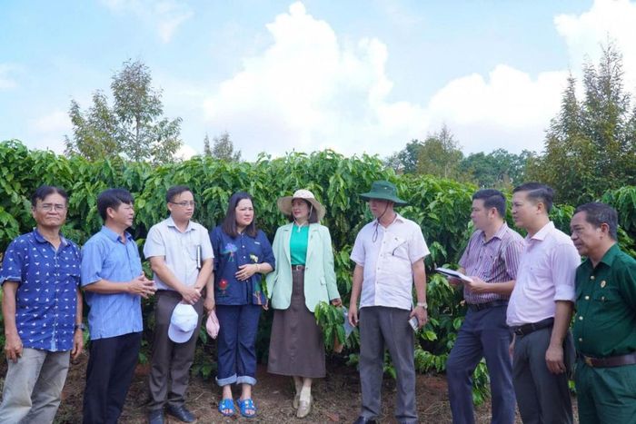 Đoàn khảo sát trao đổi với bà con nông dân về kỹ thuật trồng và chăm sóc cà phê, sầu riêng tại rẫy cà phê và sầu riêng của một hộ nông dân thôn 3, xã Bom Bo