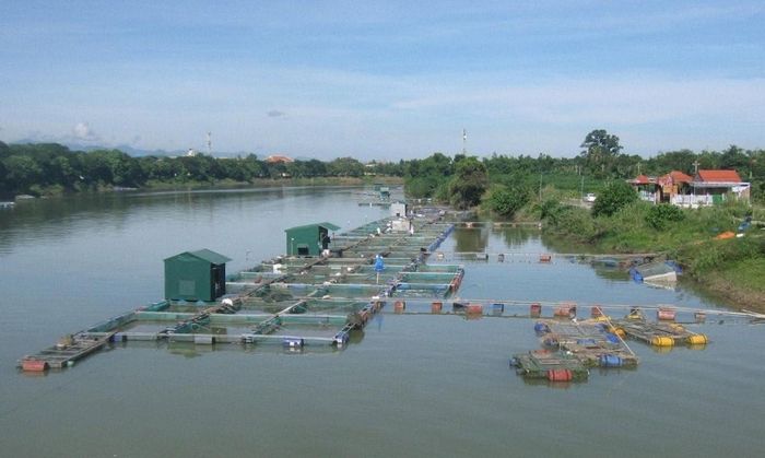 Kiểm soát môi trường nước thường xuyên là một giải pháp quan trọng để giảm nguy cơ phát sinh dịch bệnh và thiệt hại...
