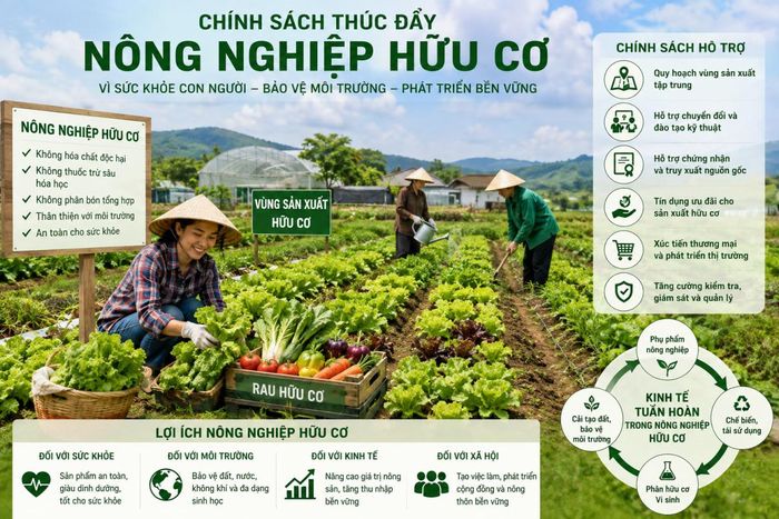 Sơ đồ minh hoạ