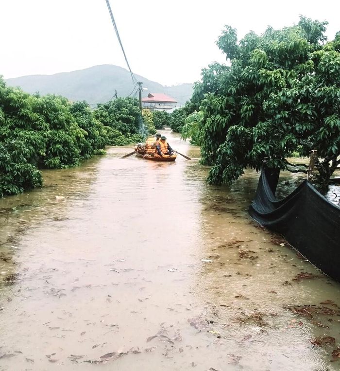 Xã Trường Sơn kêu gọi người dân có thuyền nhỏ hỗ trợ công tác cứu hộ.