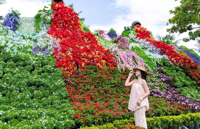 Không gian lễ hội được bài trí vô cùng công phu khi đưa những loài hoa đặc trưng của núi rừng hội tụ cùng muôn vàn giống hoa miền biển nhiệt đới từ khắp mọi miền đất nước. 