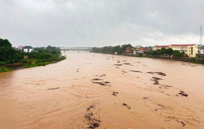 Lũ trên sông Lục Nam. Ảnh: CTV.