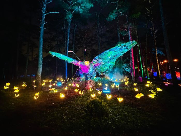 Công viên hoa và ánh sáng nghệ thuật Delight Park - sản phẩm du lịch mới góp phần phát triển kinh tế đêm của Đà Lạt. Ảnh: Hoàng Quyên