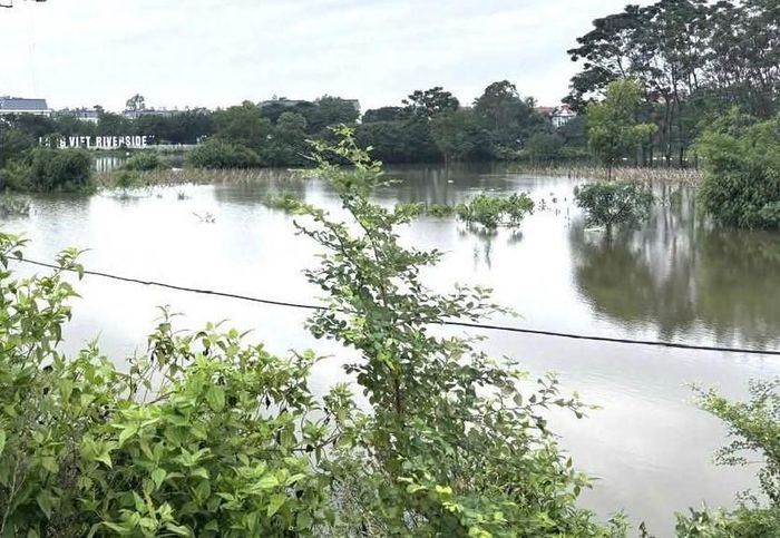 Sông Cà Lồ đoạn chảy qua địa phận xã Nội Bài. Ảnh: Tùng Nguyễn.