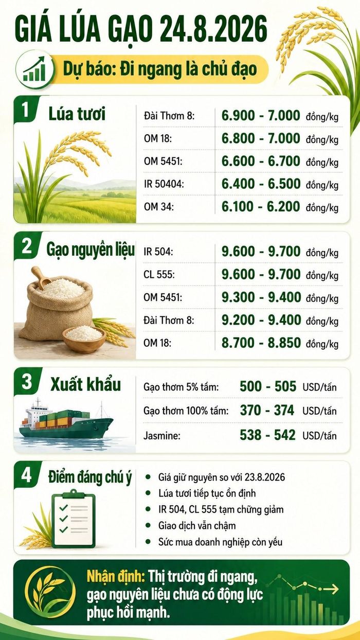 Các mức giá ngày 24.8.2026 là vùng dự báo dựa trên giả định mặt bằng thị trường giữ nguyên so với ngày 23.8.2026; giá thực tế có thể thay đổi tùy khu vực và thời điểm giao dịch.