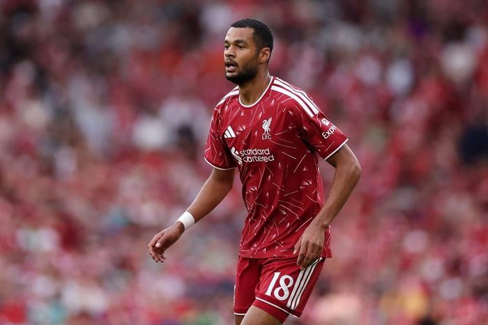 Liverpool đổi ý, Gakpo tiếp tục ở lại Anfield