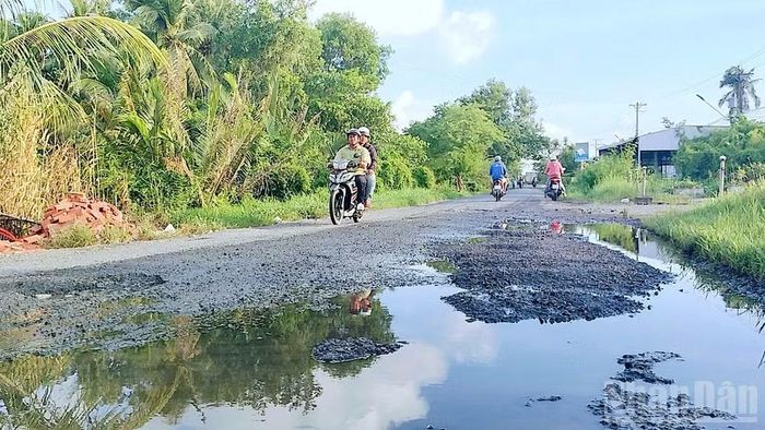 Ảnh chụp tháng 7/2026 cho thấy nước đọng thành những vũng che các hố sâu tiềm ẩn nguy cơ mất an toàn cho người tham gia giao thông trên tuyến Quốc lộ 63, đoạn qua xã Tân Lộc, tỉnh Cà Mau. (Ảnh: HỮU TÙNG)