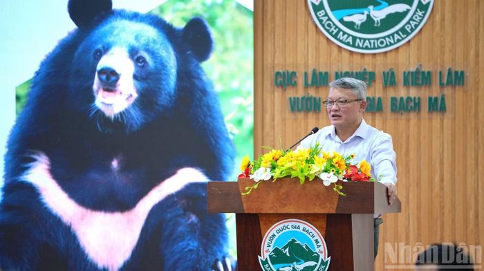 Phó Cục trưởng Cục Lâm nghiệp và Kiểm lâm Đoàn Hoài Nam phát biểu tại hội thảo.