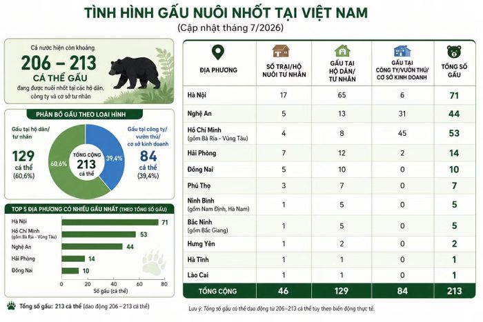 Đồ họa được thiết kế bởi AI.