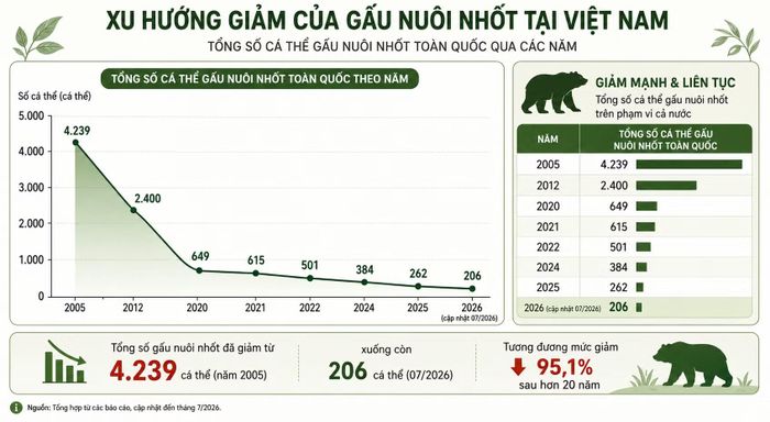 Đồ họa được thiết kế bởi AI.