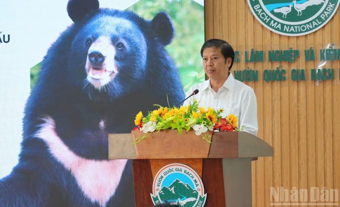 Tiến sĩ Nguyễn Vũ Linh, Giám đốc Vườn quốc gia Bạch Mã, Giám đốc Ban Quản lý Dự án Trung tâm Cứu hộ Gấu Việt Nam tại Bạch Mã chia sẻ tại hội thảo.