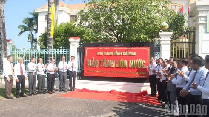 Lãnh đạo tỉnh Cà Mau thực hiện nghi thức ra mắt Bảo tàng lúa nước, cũng là "bảo tàng chuyên đề" thuộc Bảo tàng tỉnh Cà Mau hồi tháng 4/2026. (Ảnh: HỮU TÙNG)