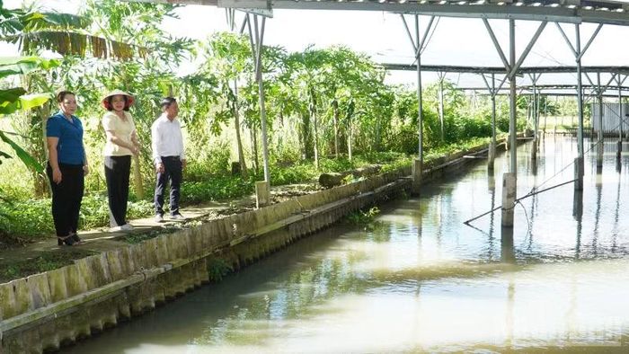 Khu vực ao lắng, lọc nước thải của Hợp tác xã Ngũ Thường Mekong. (Ảnh: VĂN ÚT)