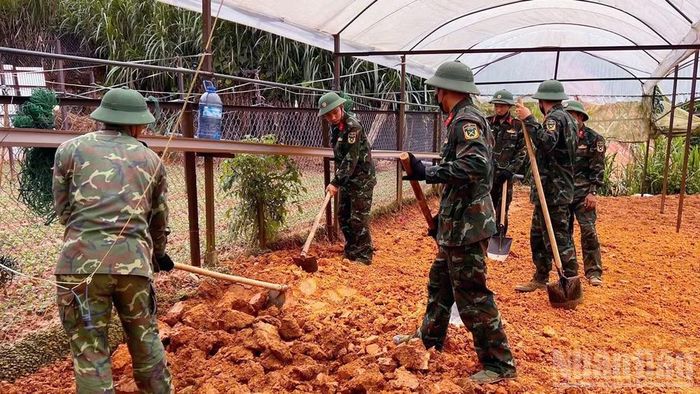 Khu vực phát hiện phần mộ liệt sĩ chưa xác định được danh tính tại tổ dân phố Sào Nam, phường Xuân Trường-Đà Lạt. (Ảnh: Đam Trọng)