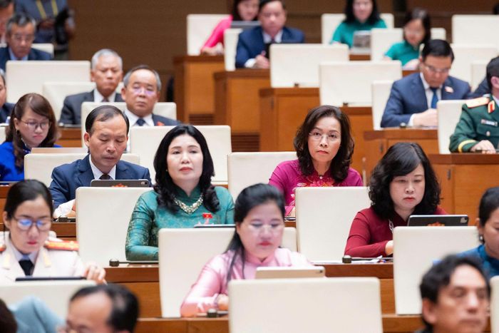 Đại biểu Quốc hội tham dự phiên họp.
