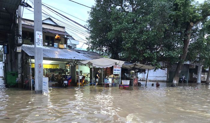 Dự báo triều cường đạt đỉnh vào cuối tháng 8, ngành chức năng khuyến cáo người dân chủ động ứng phó. Ảnh: TÍN HUY