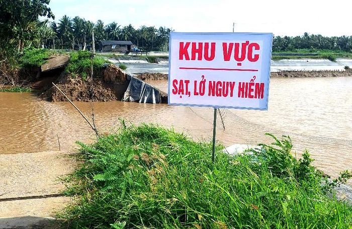 Vĩnh Long ghi nhận 166 điểm sạt lở từ đầu năm đến nay. Ảnh: TÍN HUY