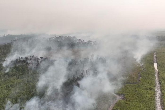 Khói bốc lên khi một đám cháy rừng dữ dội hoành hành ở Bulungan, Bắc Kalimantan, Indonesia, ngày 21/8/2026. Ảnh: Cơ quan Quản lý thảm họa quốc gia Indonesia (BNPB)/AP.