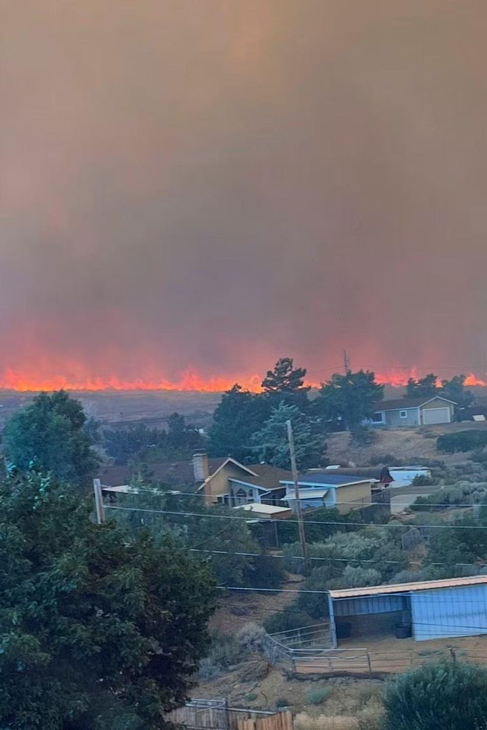 Hình ảnh này do bà Cari Kieffer cung cấp, cho thấy một phần của đám cháy Hawk ở Reno, Nevada. Ảnh: Cari Kieffer/AP.