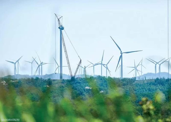 Hệ thống điện gió tại Quảng Trị. (Ảnh: Nguyễn Hồng)