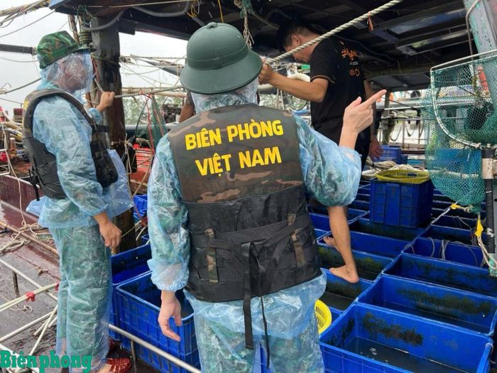 Cán bộ Đồn Biên phòng Trà Cổ, Bộ đội Biên phòng tỉnh Quảng Ninh hướng dẫn ngư dân phòng, chống bão. Ảnh: Xuân Hùng
