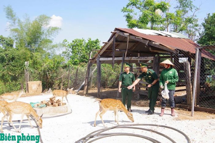Cán bộ Đồn Biên phòng Ia Đal, Bộ đội Biên phòng tỉnh Quảng Ngãi hướng dẫn người dân phát triển mô hình chăn nuôi, hỗ trợ sinh kế, từng bước nâng cao thu nhập và ổn định cuộc sống. Ảnh: Thạch Đoàn