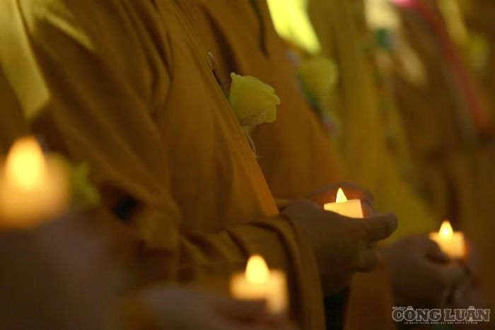 Bông hồng vàng dành cho các nhà sư đã xuất gia.
