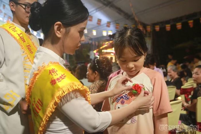 Bông hồng đỏ dành cho những người còn đủ cha mẹ.