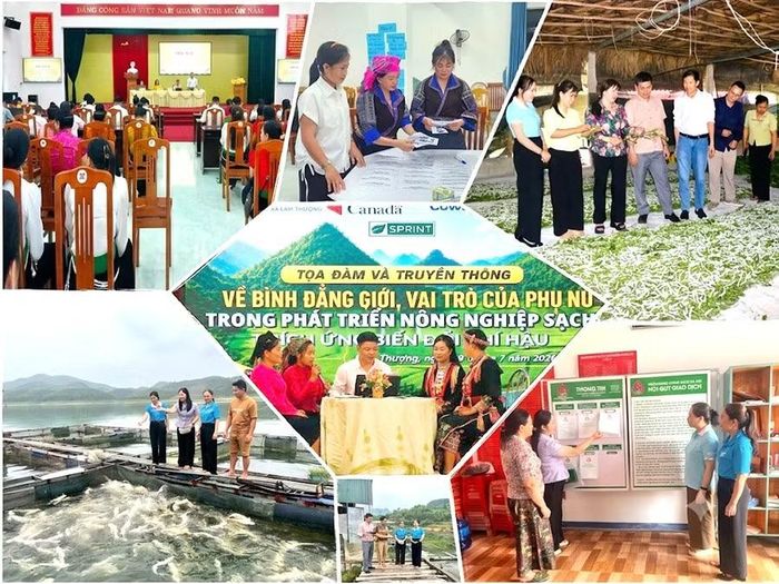Lào Cai dự kiến bố trí gần 25 nghìn tỷ đồng hỗ trợ phụ nữ khởi nghiệp giai đoạn 2026-2035. Ảnh: CTTDT Lào Cai.