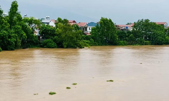 Lũ trên sông Lục Nam vượt báo động số III hơn 0,68 m và tiếp tục lên. Ảnh: Báo Bắc Ninh