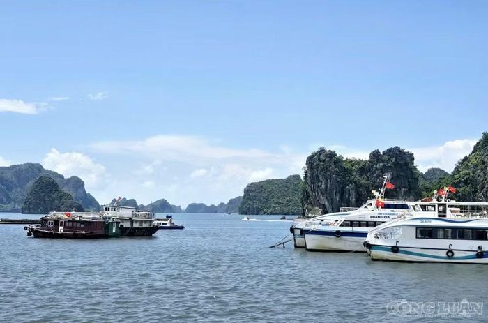 Nâng cao tính chuyên nghiệp trong tổ chức, điều hành của các HTX vận tải và du lịch biển là giải pháp trọng tâm nhằm đáp ứng nhu cầu ngày càng cao của du khách.