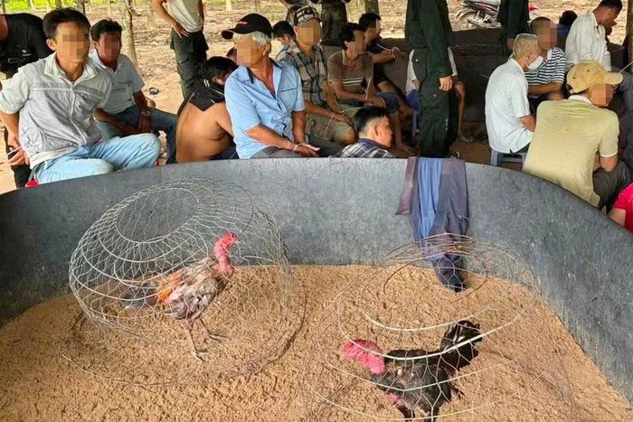Lực lượng Công an Tây Ninh đột kích, khống chế những người có mặt tại sới bạc.