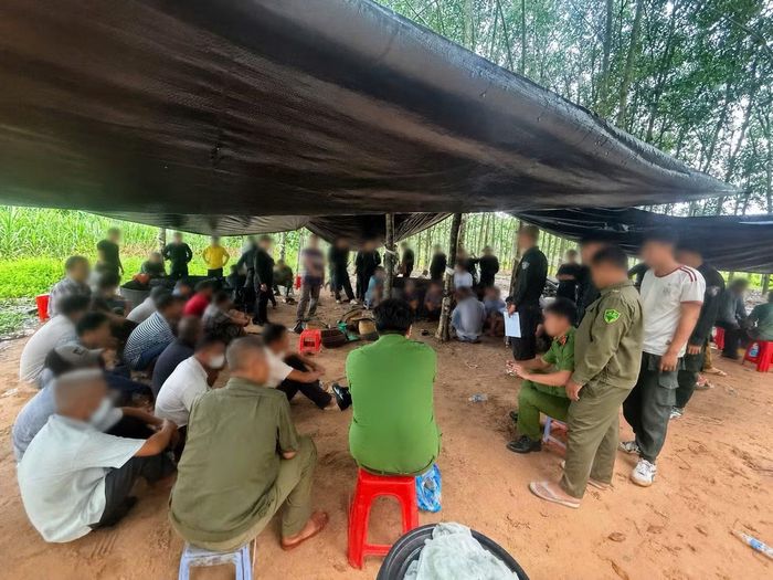 40 người bị bắt quả tang khi đang tham gia hoặc có liên quan đến sới đá gà.
