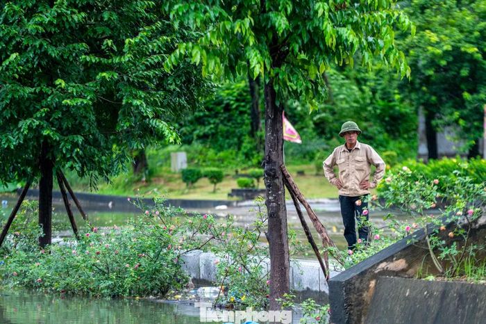 Cùng với các giải pháp chống ngập, phường Quang Hanh cũng huy động máy móc, nhân lực nạo vét, khơi thông các tuyến mương, rãnh thoát nước. Bố trí lực lượng cảnh báo, hướng dẫn người dân tại các khu vực có nguy cơ ngập úng, sạt lở.