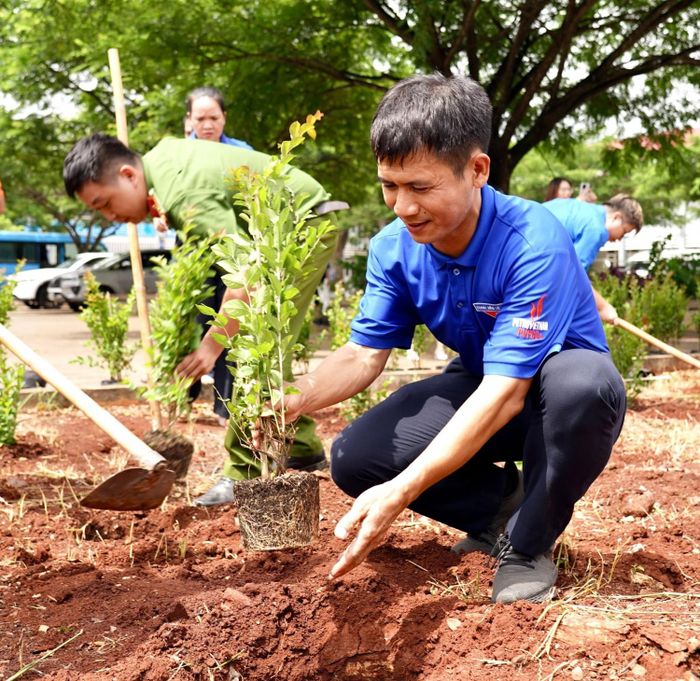Đoàn viên, thanh niên PVFCCo – Phú Mỹ tham gia trồng cây xanh tại xã Hòa Hiệp