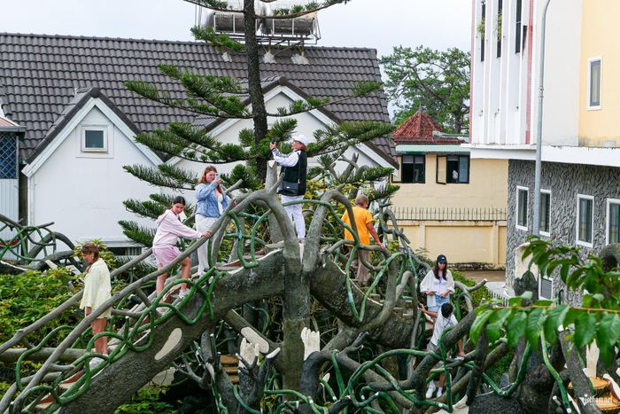 Có đoạn lối đi rộng mở, ngập ánh sáng nhưng chỉ vài bước sau, du khách đã bước vào một không gian tối và kỳ bí