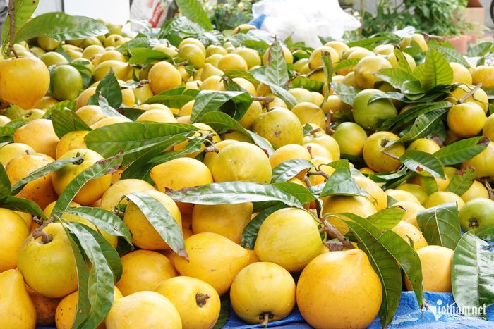 Từ loại trái cây dân dã, lêkima được chị Diệu chế biến thành nhiều sản phẩm như sấy dẻo, bột và sấy thăng hoa