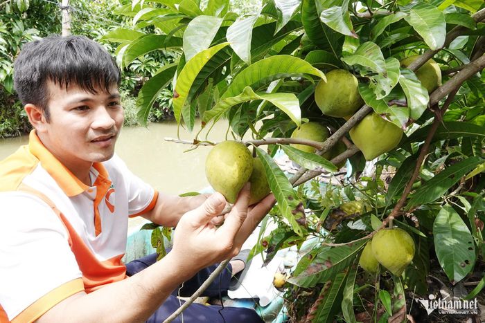 Những trái lêkima đạt chất lượng được tuyển chọn để chế biến thành sản phẩm có giá trị gia tăng cao hơn