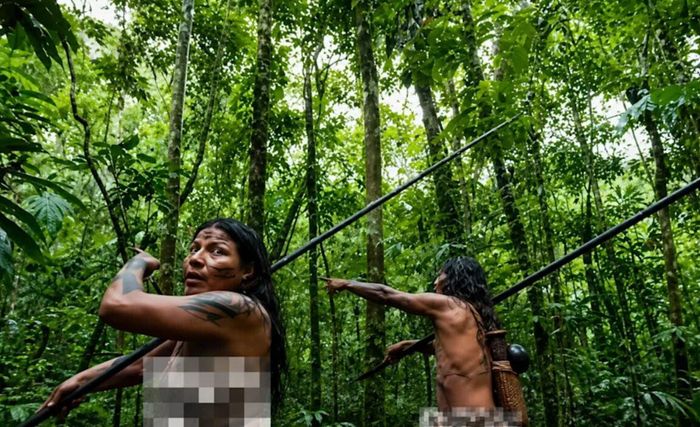 Người thợ săn Waorani di chuyển xuyên qua khu rừng. Ảnh: Joe HaTTab 