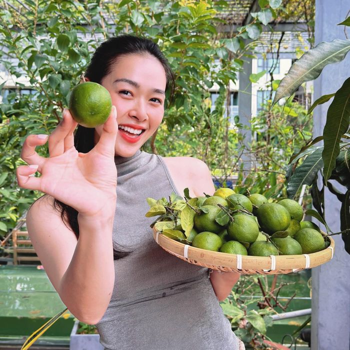 Diễn viên Diệp Bảo Ngọc thu hoạch chanh tại vườn trên sân thượng nhà mình.