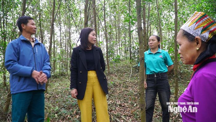 Phối hợp kiểm tra việc phát triển kinh tế rừng của đồng bào miền núi phía Tây Nghệ An. Ảnh: Kim Hoa