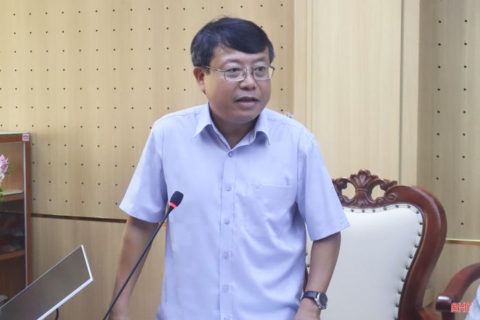 Phó Chủ tịch Thường trực HĐND tỉnh Dương Tất Thắng phát biểu chỉ đạo tại cuộc làm việc.