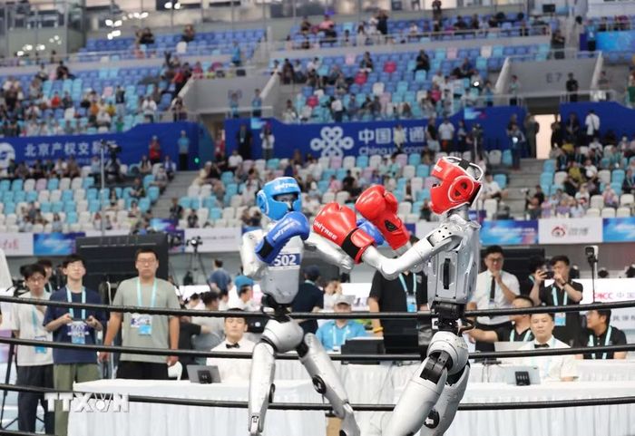 Các robot thi đấu ở nội dung đấm bốc. (Ảnh: Công Tuyên/TTXVN)
