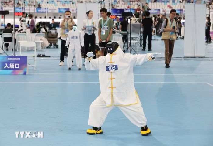 Các robot tham gia biểu diễn môn võ thái cực quyền. (Ảnh: Công Tuyên/TTXVN)